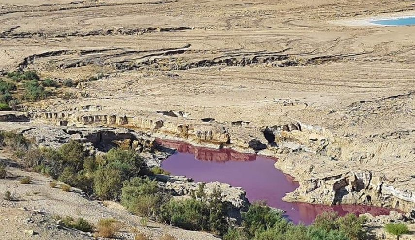 بعد أسبوعين .. الكشف عن سر البرك الحمراء عند البحر الميت!