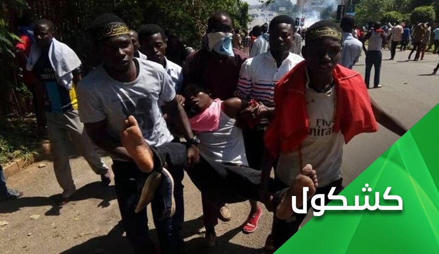 مرة أخرى.. الشيعة في نيجيريا ضحايا التحالف الوهابي الصهيوني