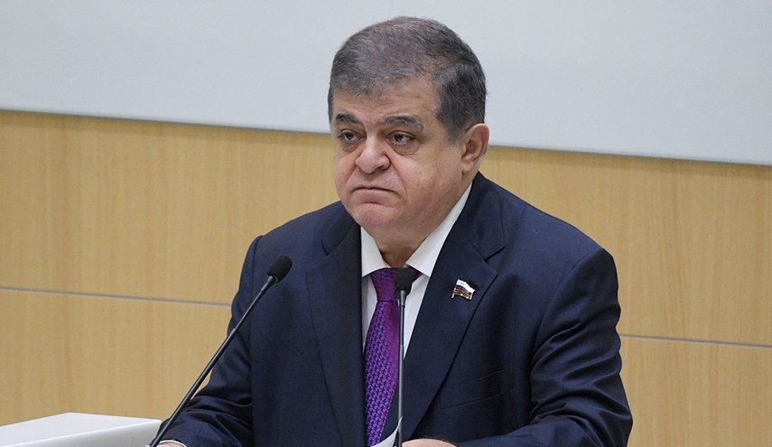 سيناتور روسي يرد على طوكيو: الحدود الروسية لا تخضع للمراجعة
