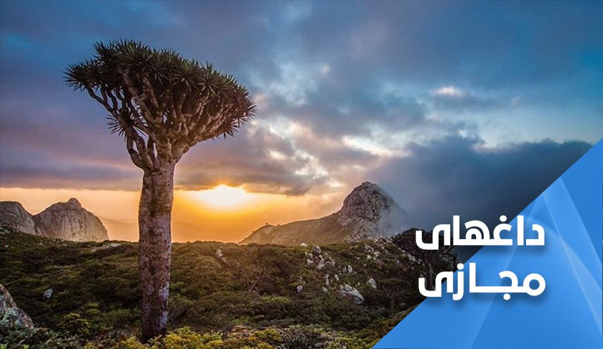 جزیره زیبای سقطری در آرزوی رهایی از چنگال امارات
