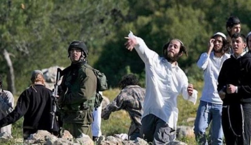 مسموم‌سازی آب چاه فلسطینی‌ها با انداختن لاشه توسط شهرک‌نشینان صهیونیست 