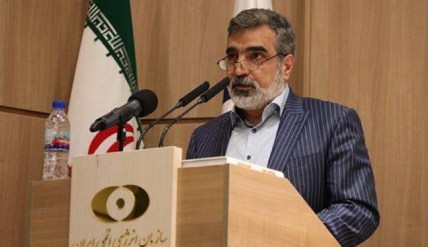 کمالوندی: ذخایر اورانیوم ۲۰ درصد از ۲۱۰ کیلو عبور کرد/ تولید ۲۵ کیلو اورانیوم ۶۰ درصد