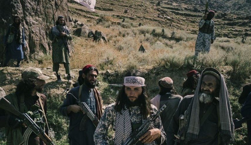 اخراج ۲۰۰ نفر از اعضای طالبان؛ روند تصفیه ادامه دارد