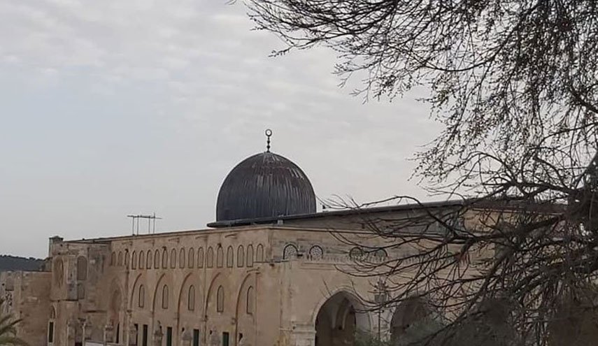 منظمة استيطانية تشرع ببناء منشأة حديدية مطلة على المسجد الأقصى