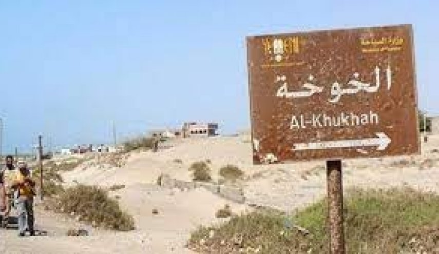 القوات اليمنية تقترب من مركز مديرية الخوخة في الحديدة 