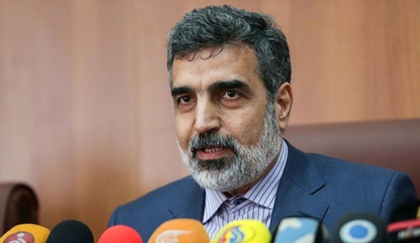 نظر کمالوندی درباره سفر گروسی به تهران 

