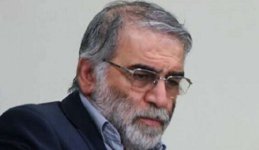 نخستین سالگرد شهید فخری زاده برگزار شد
