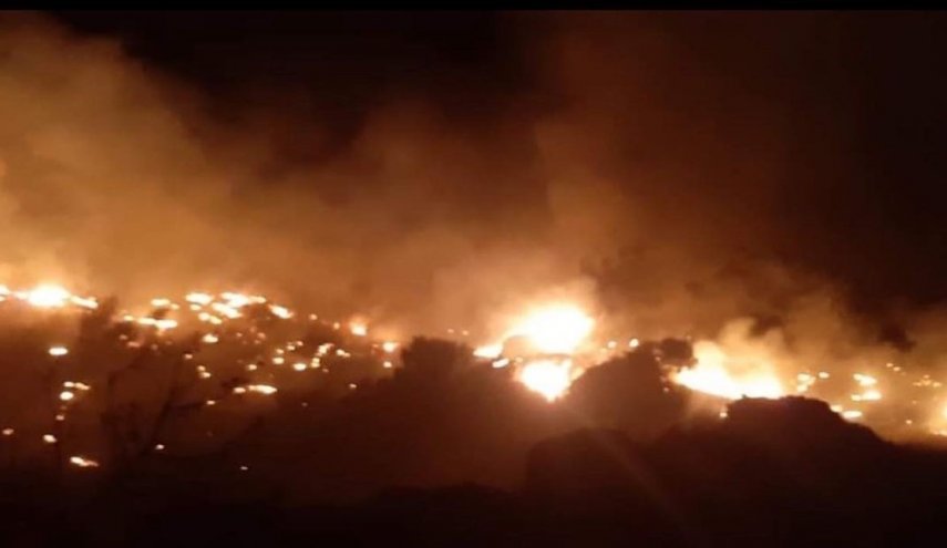 حريق كبير في إحدى غابات بشامون جنوب بيروت