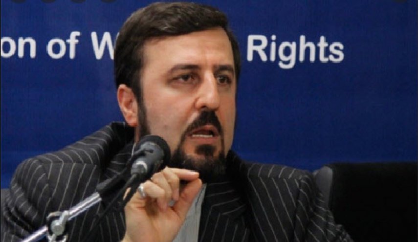 غریب آبادی: زندانی دوتابعیتی نداریم