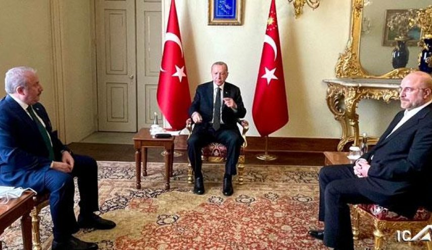 تاکید قالیباف و اردوغان بر توسعه روابط دو کشور