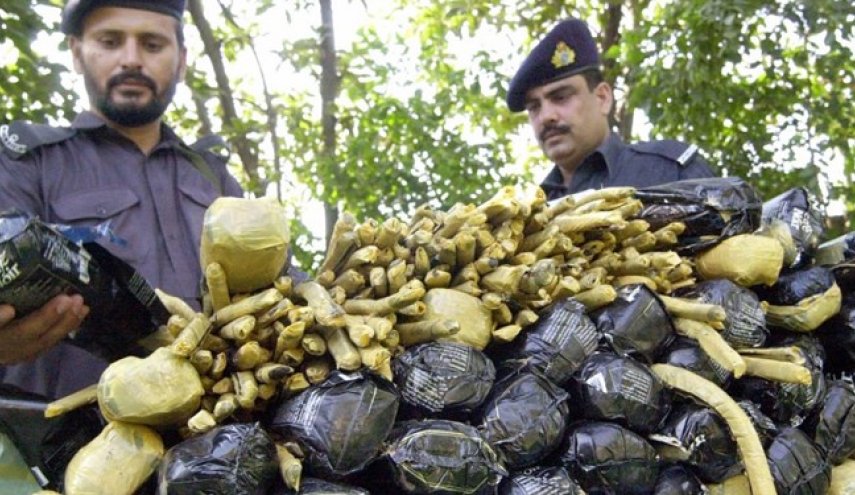 فارن پالسی: عربستان مرکز مواد مخدر در غرب آسیا
