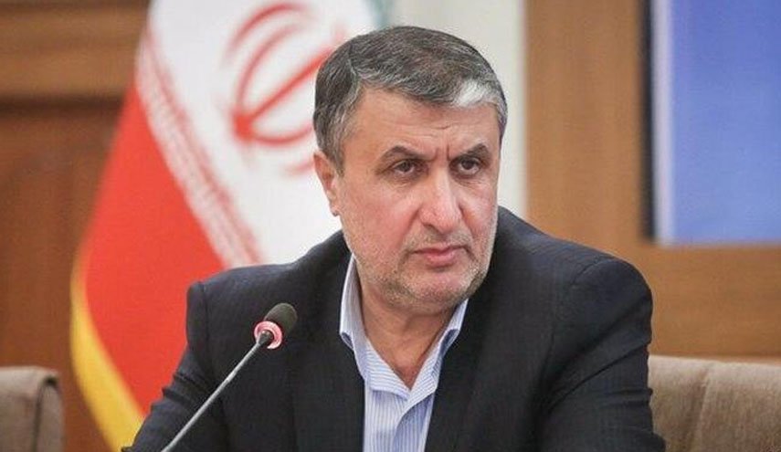 اسلامی: فعالیت‌های هسته‌ای ایران در چارچوب مقررات آژانس است/ قصد غنی‌سازی بالای ۶۰ درصد را نداریم 