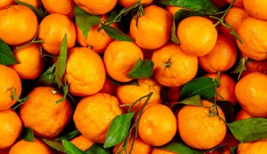 روزانه چند عدد نارنگی می توانید بخورید؟