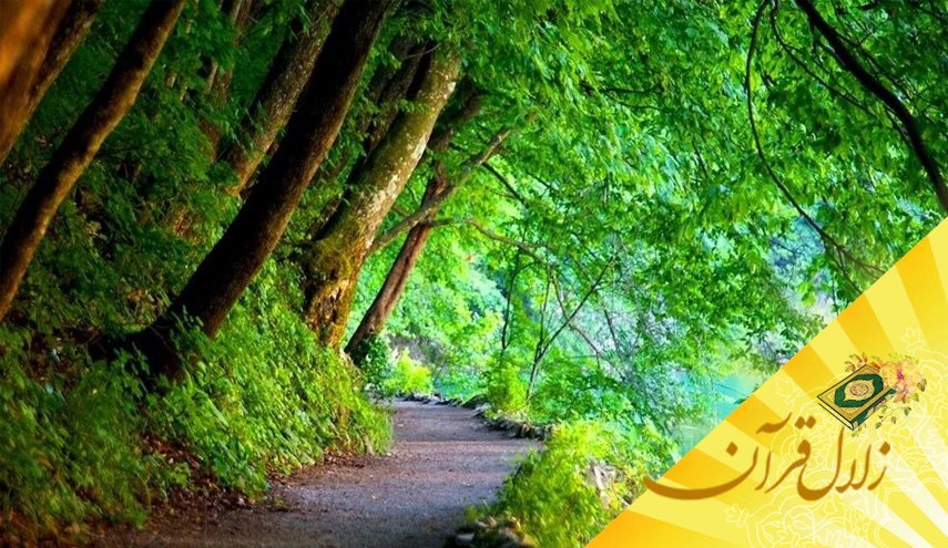 منظور از «ولاء تصرف» چیست؟