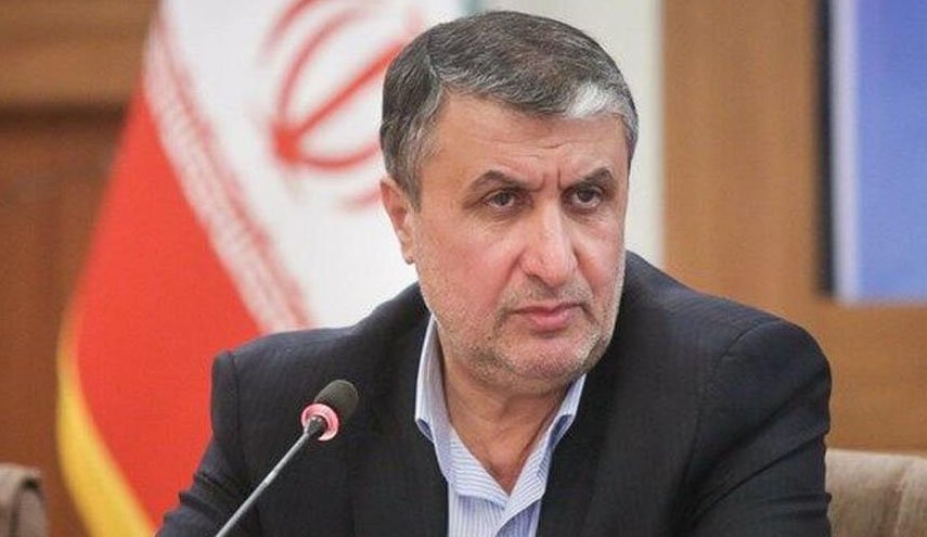 استفاده از پتانسیل سازمان انرژی اتمی برای رفع مشکلات صادرات محصولات کشاورزی