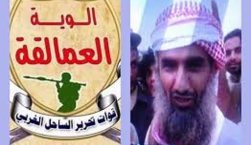 یکی دیگر از فرمانده‌های مزدوران امارات در یمن کشته شد 