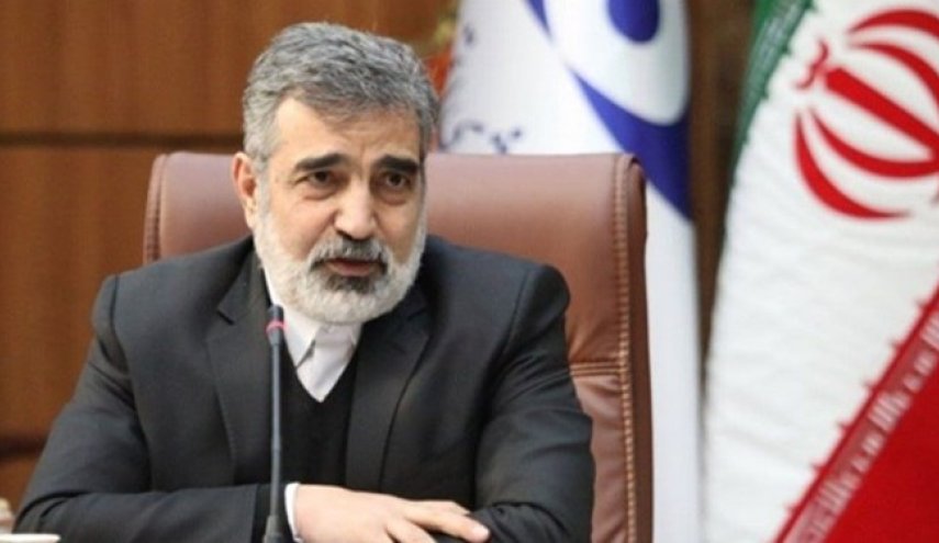 کمالوندی: همکاری ایران و روسیه برای احداث واحدهای ۲ و ۳ نیروگاه بوشهر در جریان است
