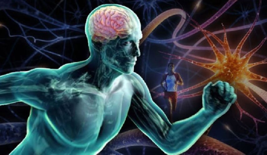 هذه التمارين تحمي الدماغ من أمراض الخرف