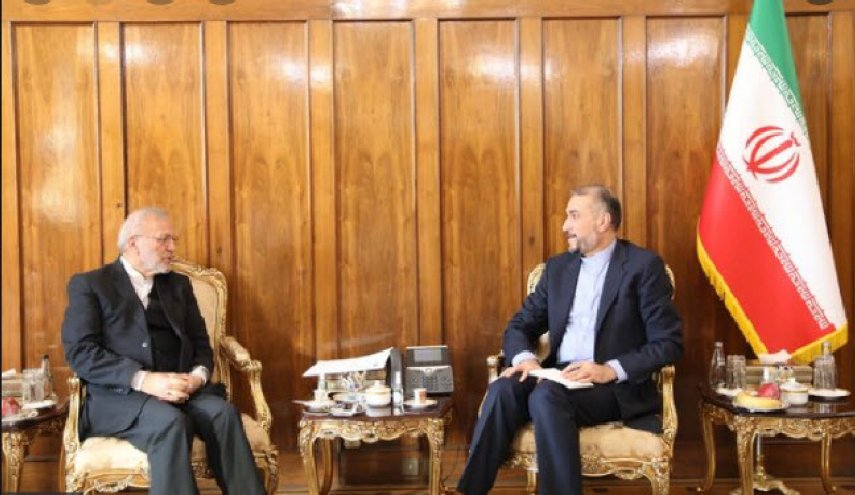 دیدار امیرعبداللهیان با متکی