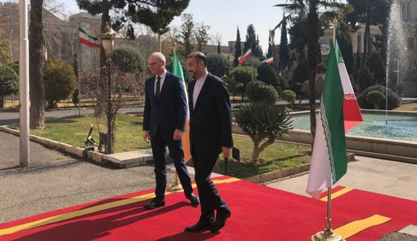 وزیر خارجه ایرلند با امیرعبداللهیان دیدار کرد
