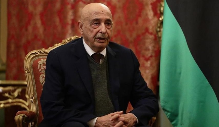 رئيس مجلس النواب الليبي ونائب رئيس المجلس الرئاسي يبحثان دعم المسار السياسي