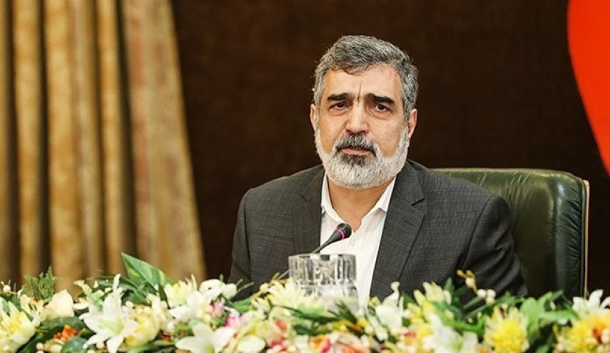 سفر سخنگوی سازمان انرژی اتمی به وین