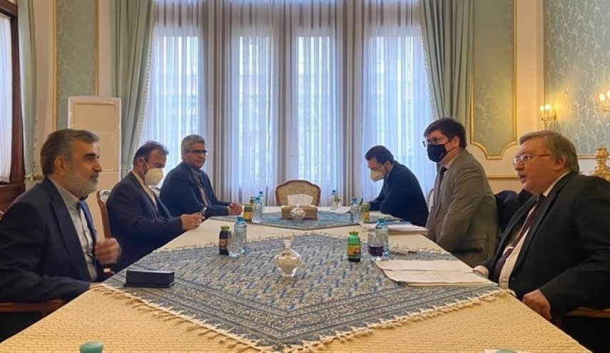 دیدار اولیانوف و کمالوندی در وین