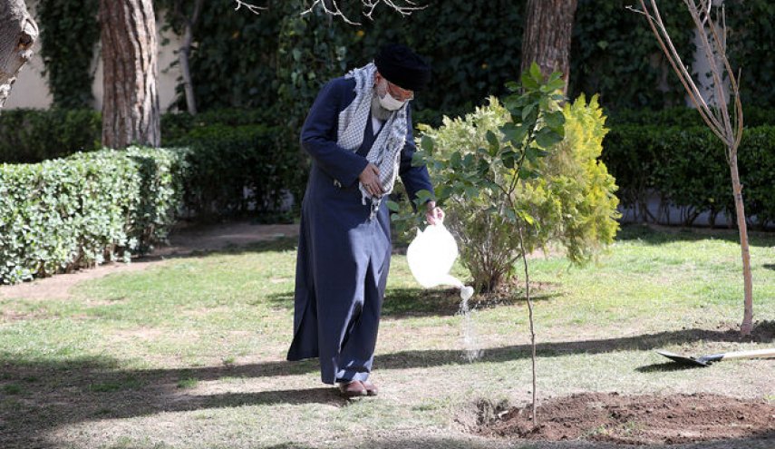 تخریب جنگلها و محیط زیست و پوشش‌های گیاهی تخریب منافع ملی است