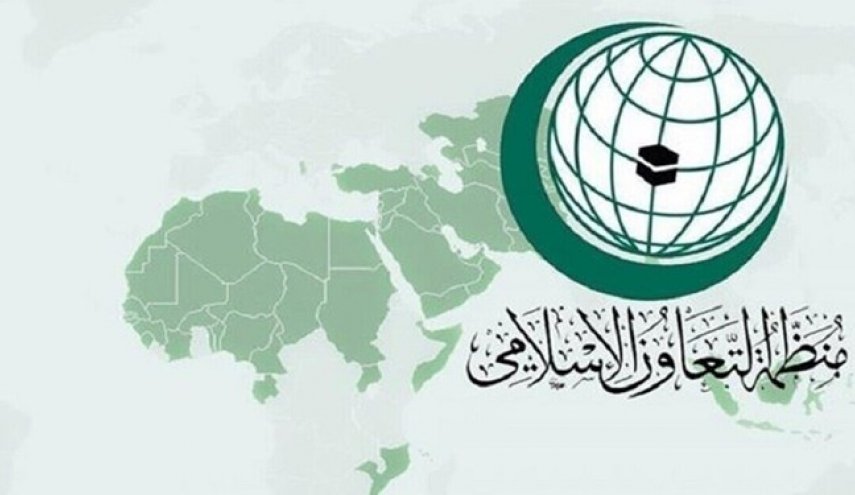 درخواست سازمان همکاری اسلامی از آمریکا برای «تروریستی» خواندن انصارالله
