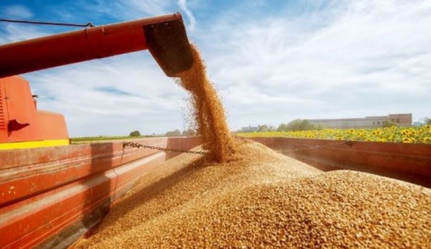 روسیه ممنوعیت صادرات غلات را به کشورهای اتحادیه اوراسیا لغو کرد