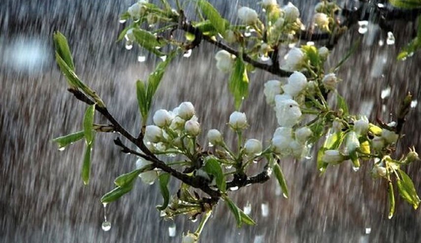 بارش باران در ۵ استان/ وزش باد شدید در نقاط مختلف کشور