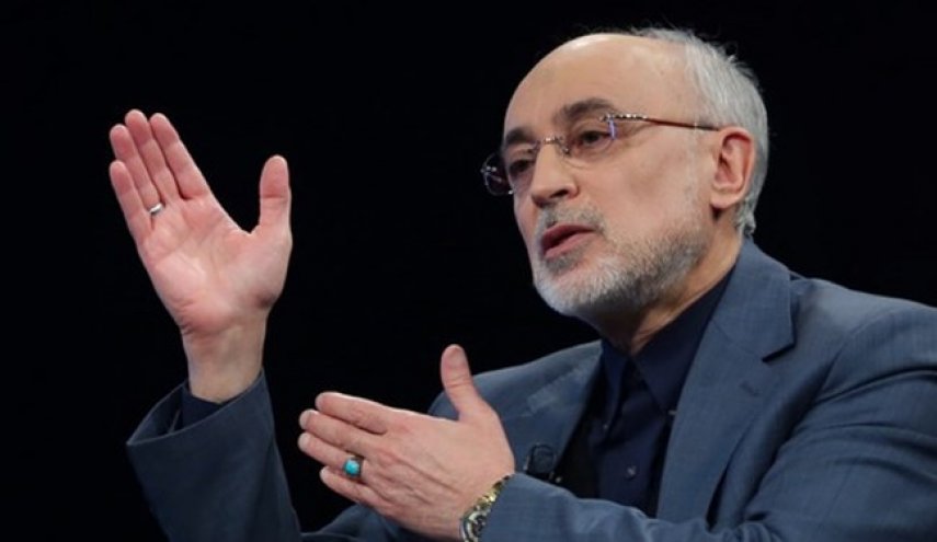 علی اکبر صالحی: اگر موضع منطقی ایران نبود، برجام فسخ شده بود
