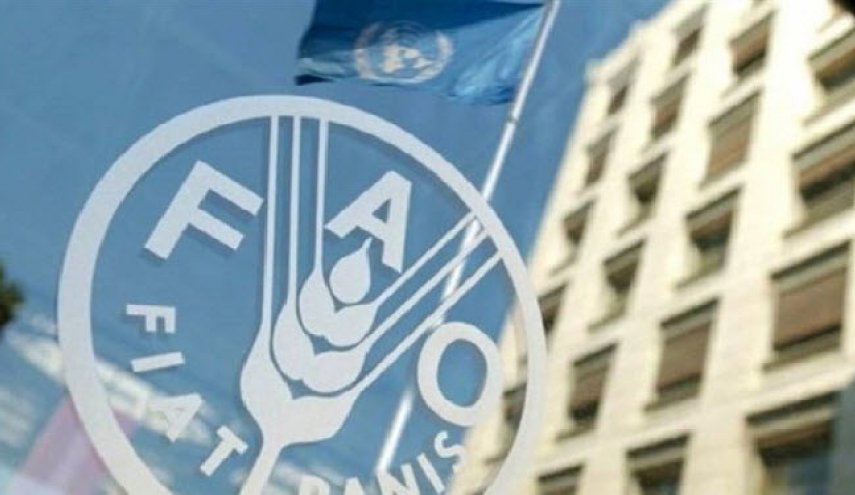 فائو: امنیت غذایی ایران از ۱۱۹ کشور جهان بیشتر شد