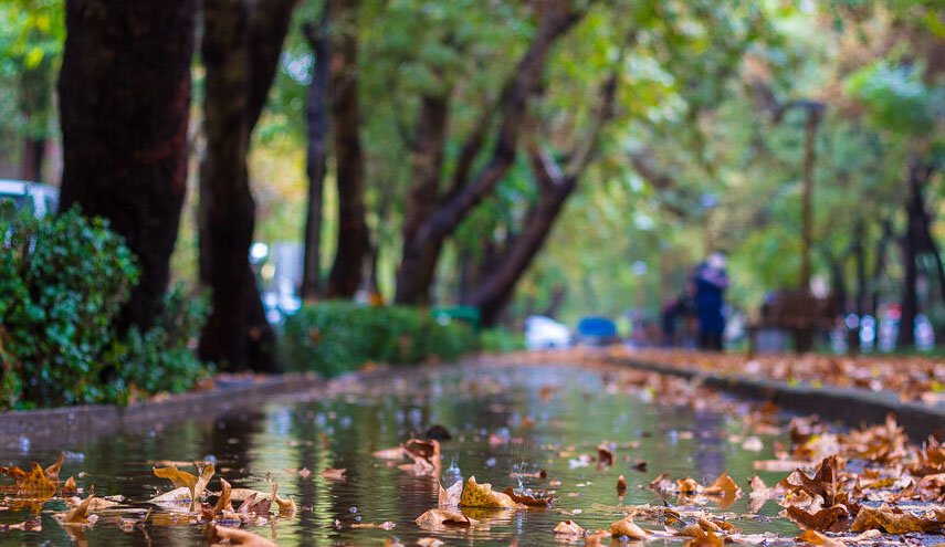 کاهش دمای هوا/ رگبار باران و وزش باد در نوار شمالی کشور