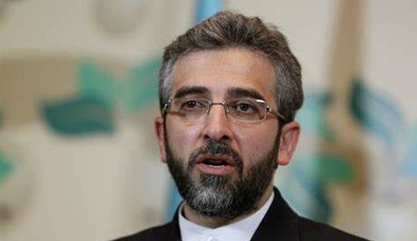 باقری: بزرگترین نقض حقوق بشر، سیاست‌زده کردن آن است