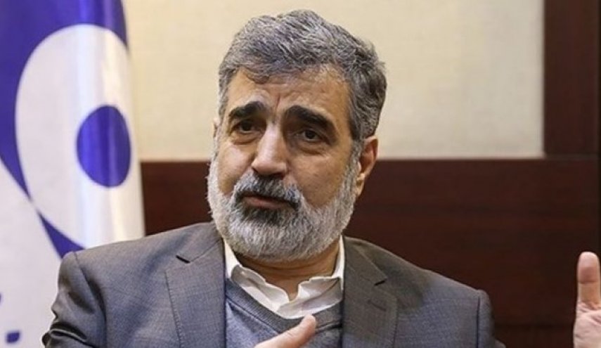 کمالوندی: مدیرکل آژانس به جای ملاحظات سیاسی به جنبه‌های فنی توجه کند