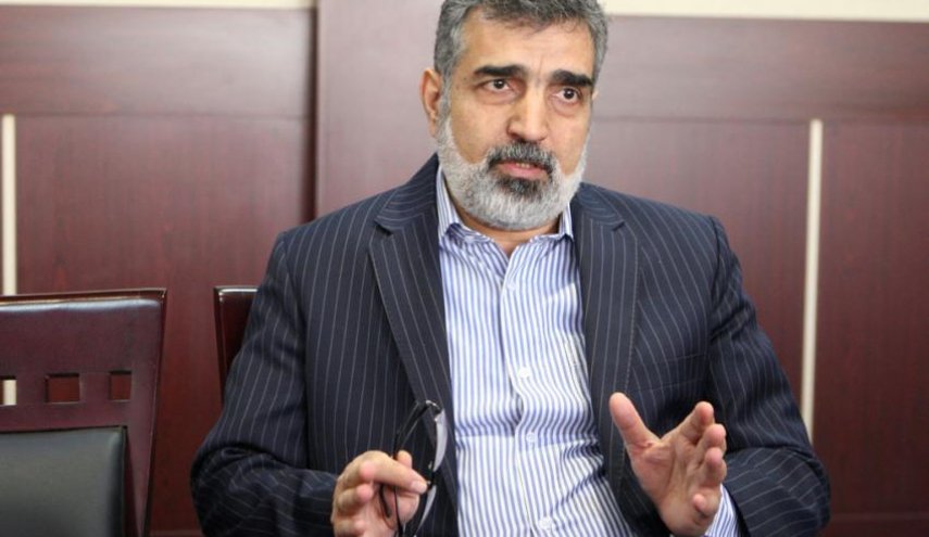 سخنگوی سازمان انرژی اتمی: در مورد پادمان در حال گفت‌وگو هستیم