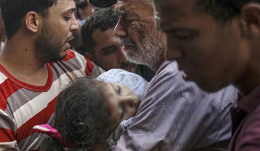 شهادت ۱۳۲ فلسطینی تنها در ۸ ماه
