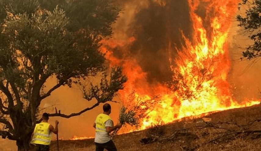 الجزائر.. حرائق جديدة في الطارف