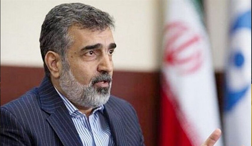کمالوندی: خواسته‌های آژانس از ایران، زیاده‌خواهانه است