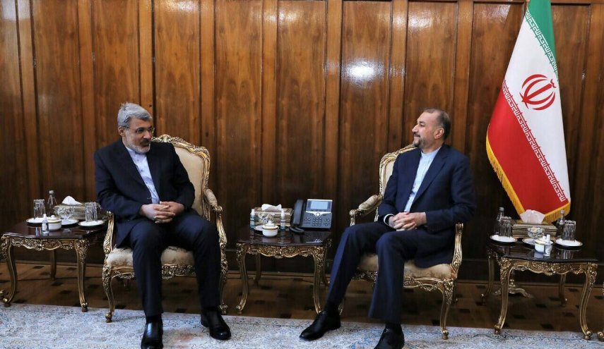 دیدار نماینده دائم ایران در ژنو با امیرعبداللهیان