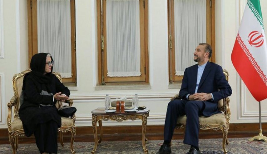 امیرعبداللهیان: در گفت‌وگو برای حفظ منافع و عزت مردم، لکنت زبان نخواهیم داشت