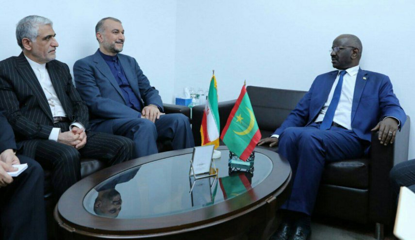 دیدار و گفت‌وگوی وزرای خارجه ایران و موریتانی در نیویورک
