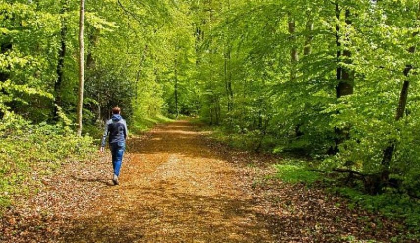 ماذا يحصل لدماغنا بعد قضاء ساعة واحدة في الطبيعة؟
