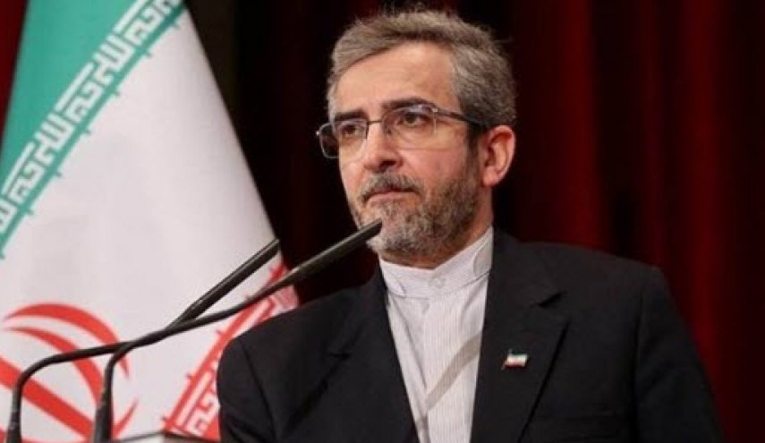 باقری: دست بسته نخواهیم بود و از هر طریقی منافع خود را دنبال می‌کنیم