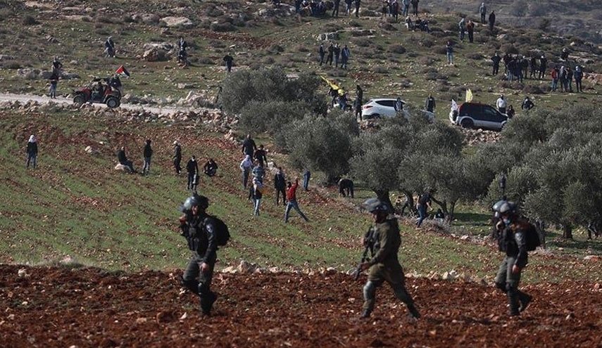 مستوطنون يعتدون على ممتلكات فلسطينية بالضفة المحتلة