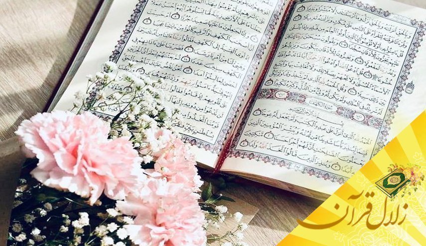 قوای وهمیه و عقلیه در زندگی انسان چه نقشی ایفا می کنند ؟ 
