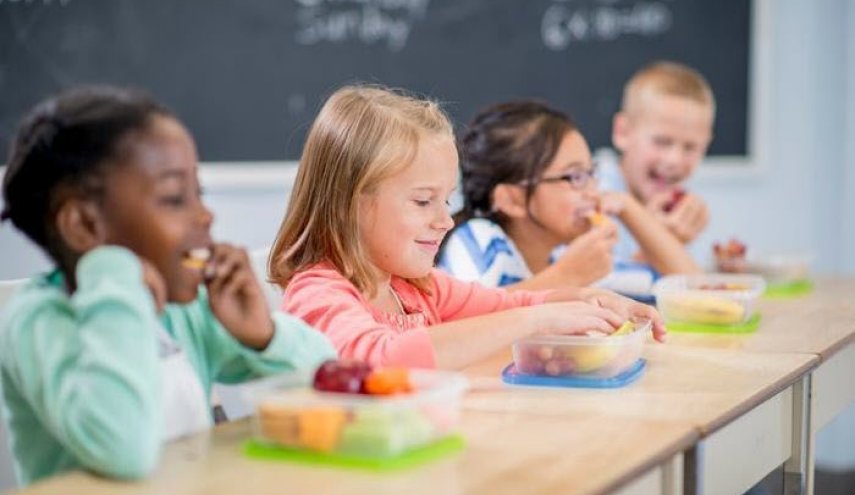 ما هي الفيتامينات اللازمة لتلاميذ المدارس؟