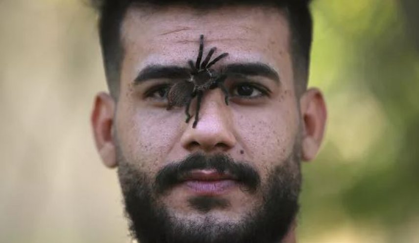 مهرجان هواة ومربي الزواحف في بغداد