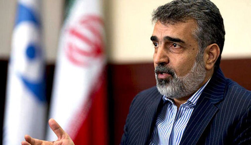 کمالوندی: غنی سازی اورانیوم براساس قانون اقدام راهبردی رسما به ۶۰ درصد رسیده است